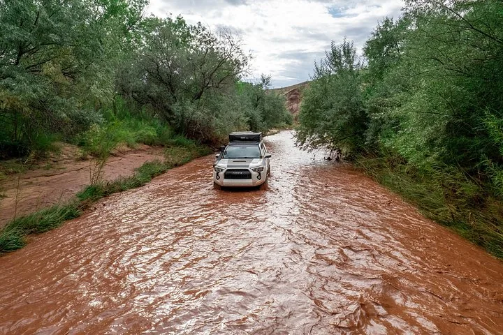 Vehículo todoterreno blanco conduciendo por un río poco profundo y embarrado rodeado de árboles